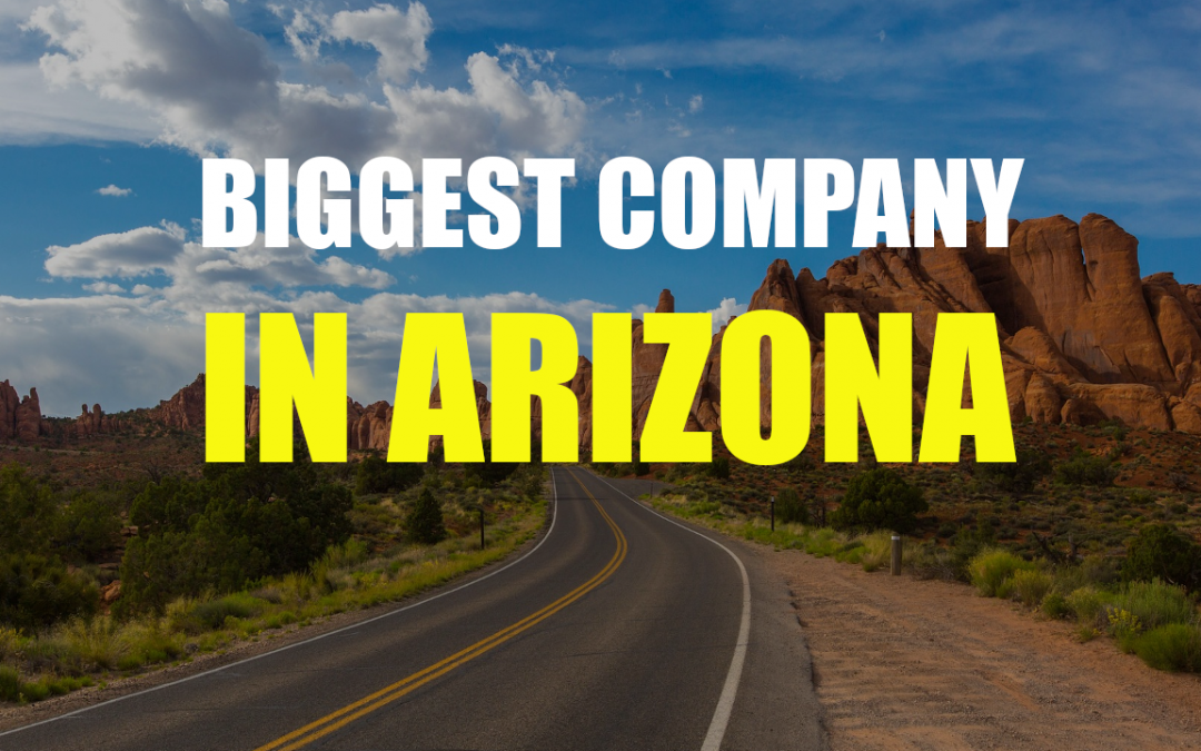 The Biggest Company In Arizona – Avnet Inc