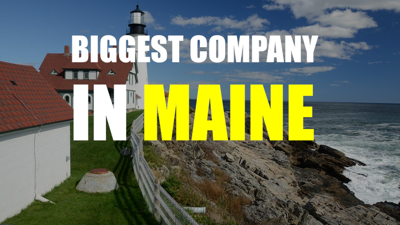 The Biggest Company In Maine IDEXX Laboratories Wistman Media