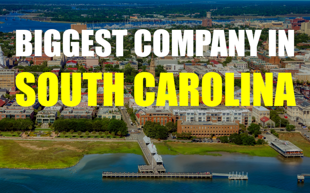 The Biggest Company In South Carolina – Domtar